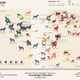 Illustration for article titled Dog breeds ranked: Who is the best, smartest doggie?
